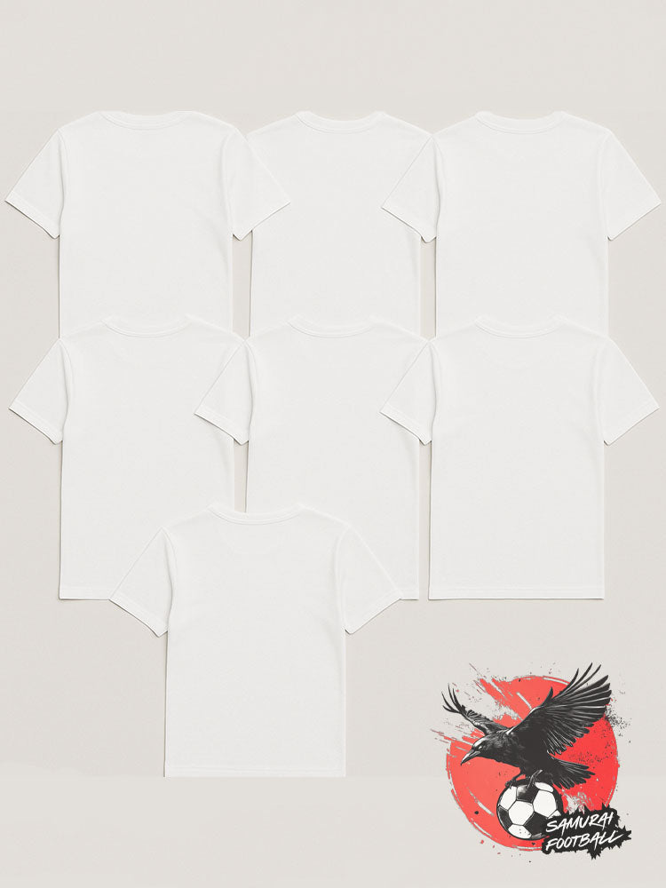 "JAPAN" MYSTERY BOX